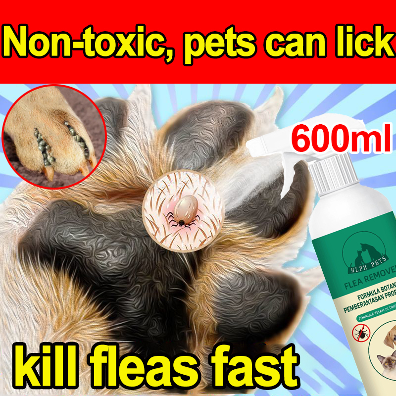600ml English Packaging Anti Flea and Tick for Dog Safe to lick, Dog