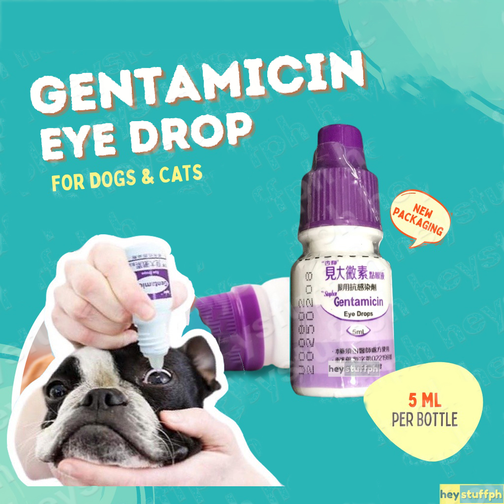 [Veterinary Recommendation] Simfar 5ml Gentamycin Sulfate Eye Drops Is ...