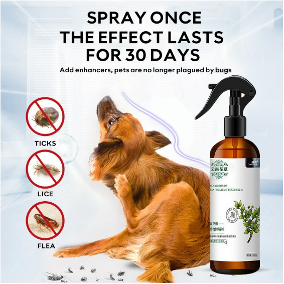 Higher Tick and Flea Spray 300ML Anti Tick Garapata Flea Pulgas & Lice ...