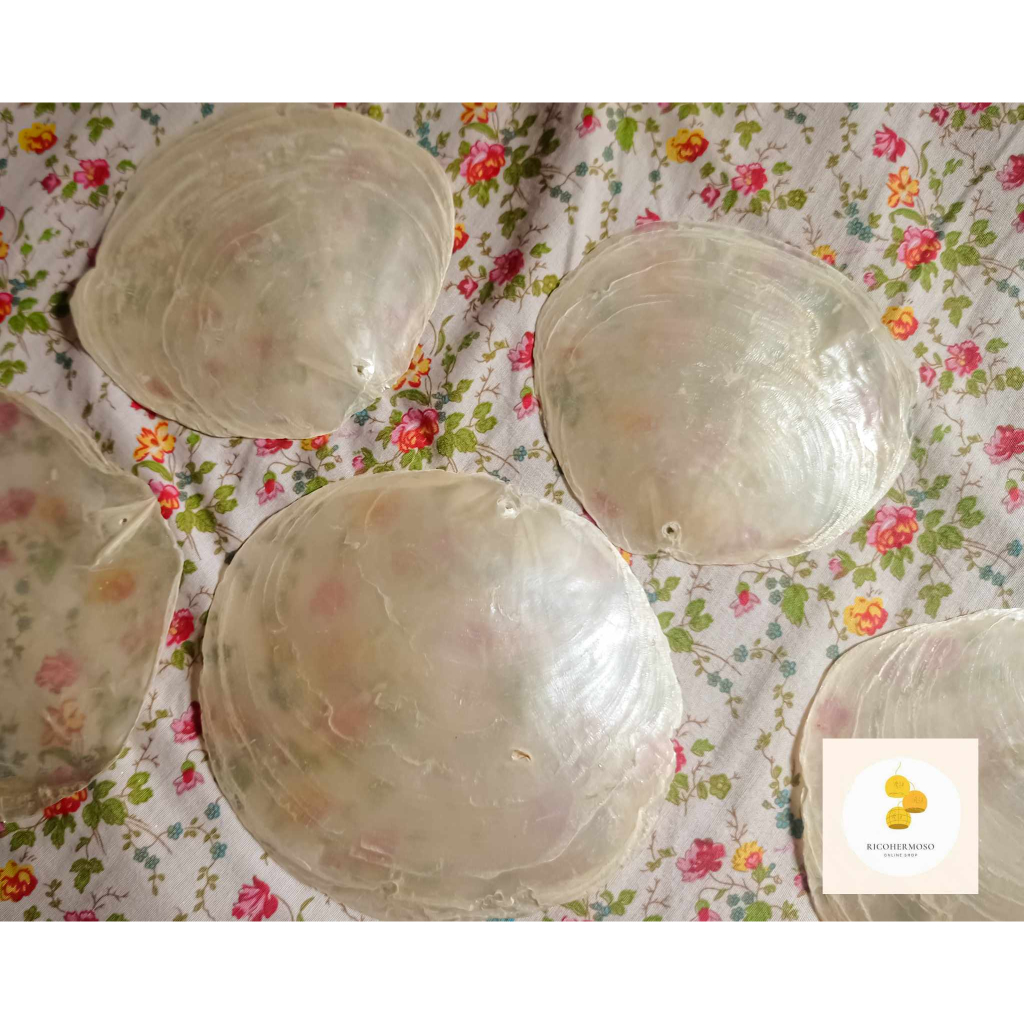 Capiz Pieces Rough Cut | Shopee Philippines