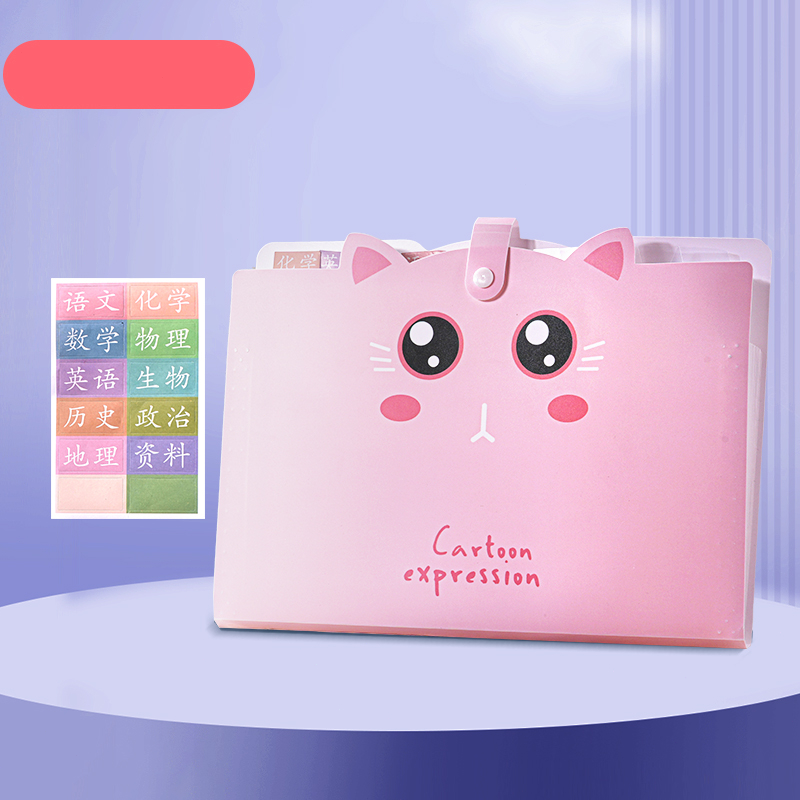 Expanding File Folder HighCapacity File Organizer Paper 12Layer A4