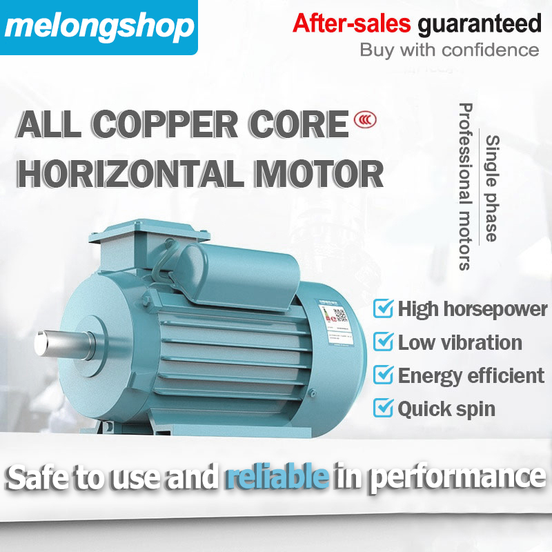 Single Phase Motor 2200W Electric Induction Motor (Copper Motor) 220V