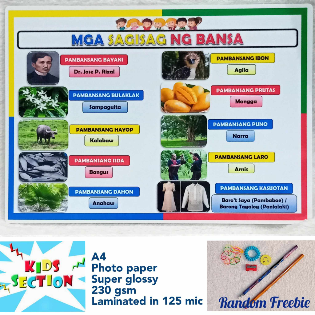 Laminated Educational Chart Mga Sagisag Ng Bansa Shopee Philippines 6120