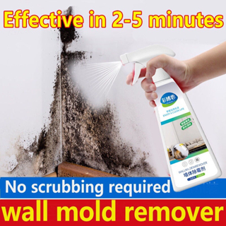 Removal Of Mildew Mold 500ml Moldy Walls Bathroom Tiles Moldy Stain 