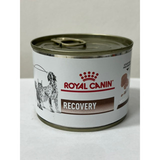 Royal canin hot sale recovery can