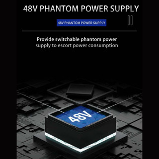 TEYUN Q12 USB Audio Interface + 48V Phantom Power with 3.55m Microphone ...