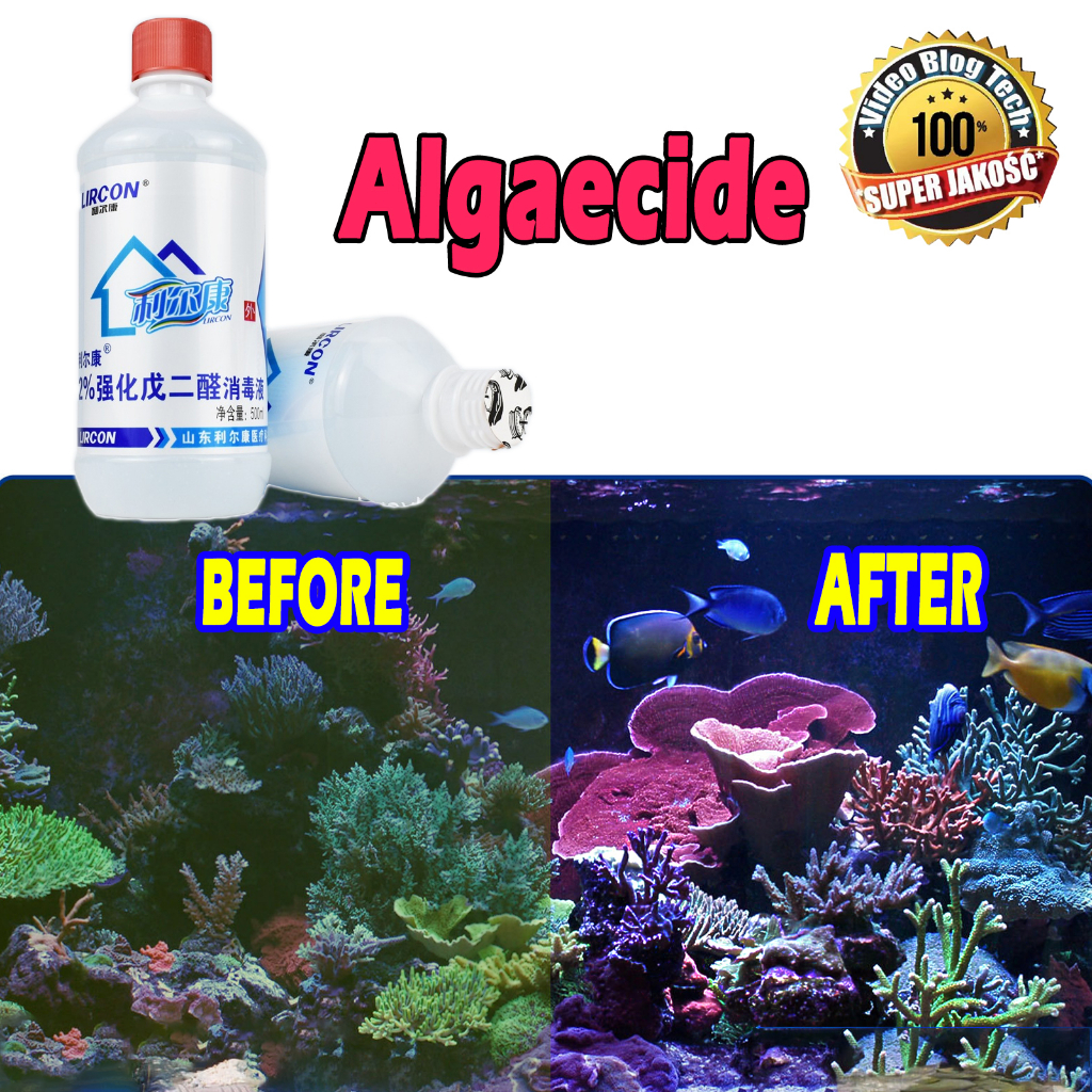 500g algaecide for aquarium for pond/swimming pool aquarium algae