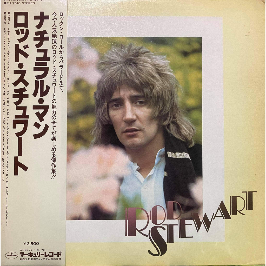 Rod Stewart - VINYL RECORD LP PLAKA | Shopee Philippines