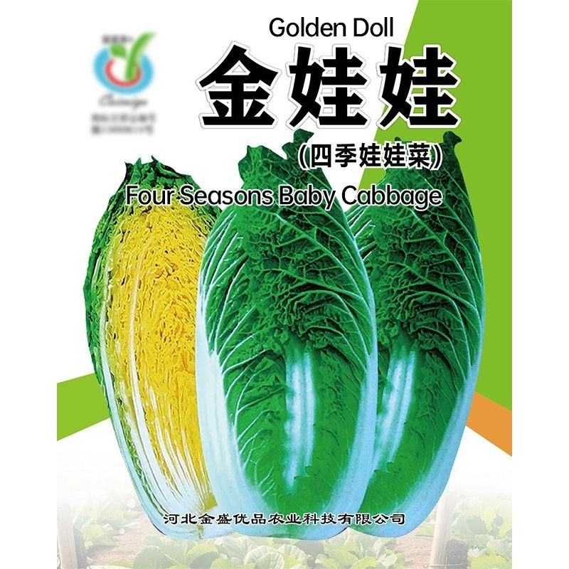 four season quick vegetable seeds baby cabbage extremly precocious