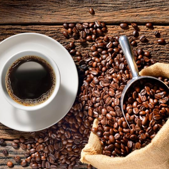 Coffee Arabica Benguet (Best Seller) Coffee Beans Medium Dark Roast