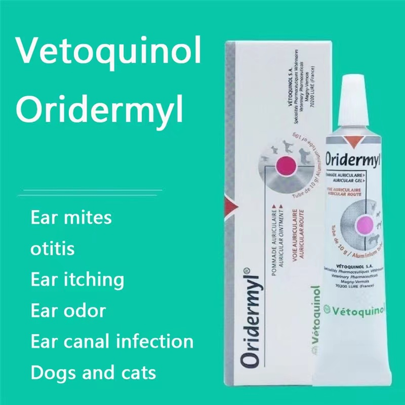 10g Oridermyl Ear Ointment For Dog&Cat Shopee Philippines