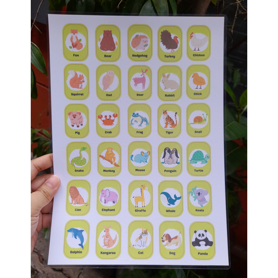 Learning Materials and Educational Charts For Kids - Laminated ...