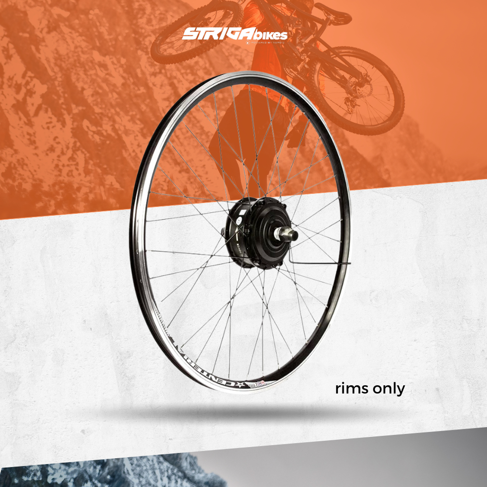 NERO E Pie 1.0 E-Bike V Brake Rims Black | Shopee Philippines