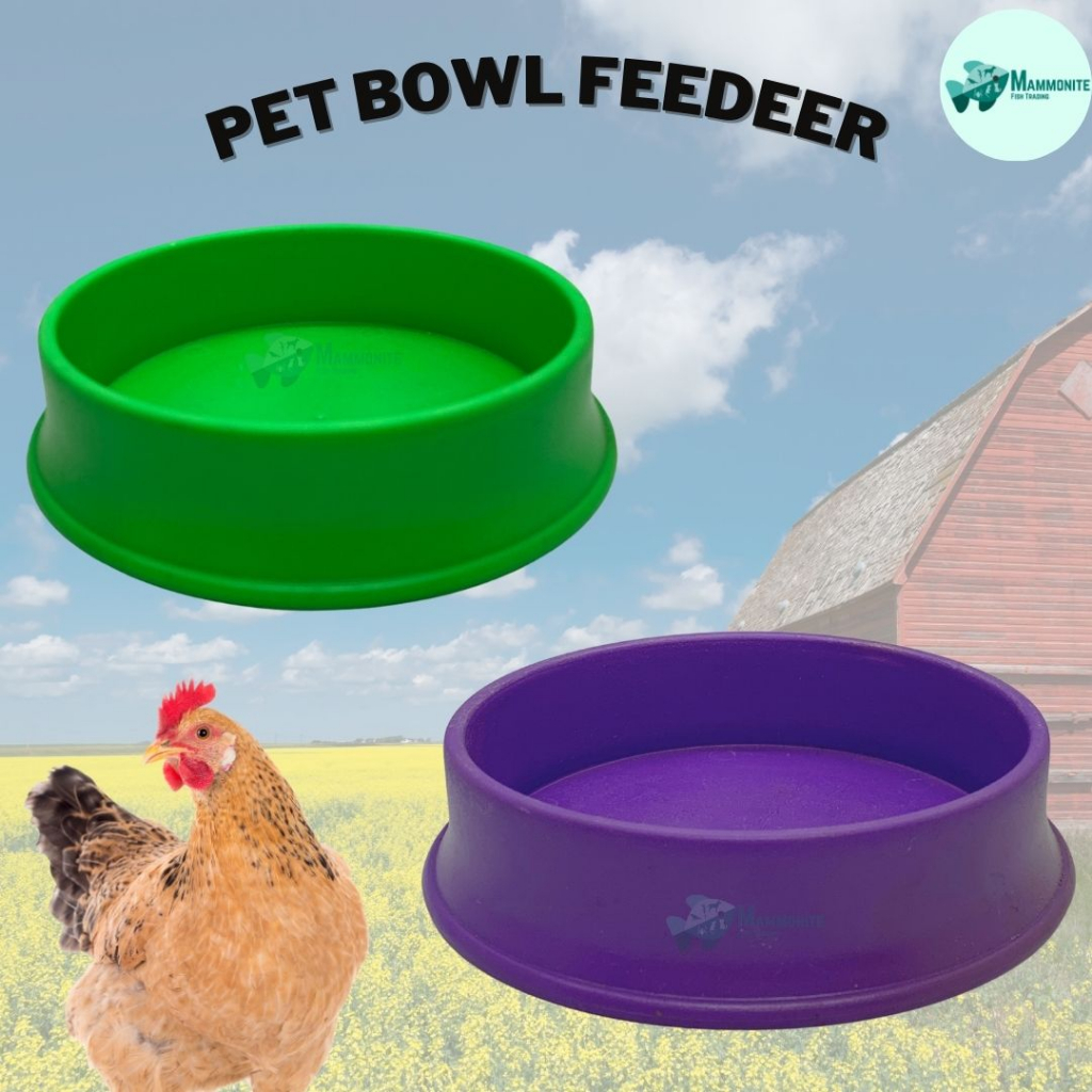 Pet Bowl Feeder For Chickens Bird Shopee Philippines