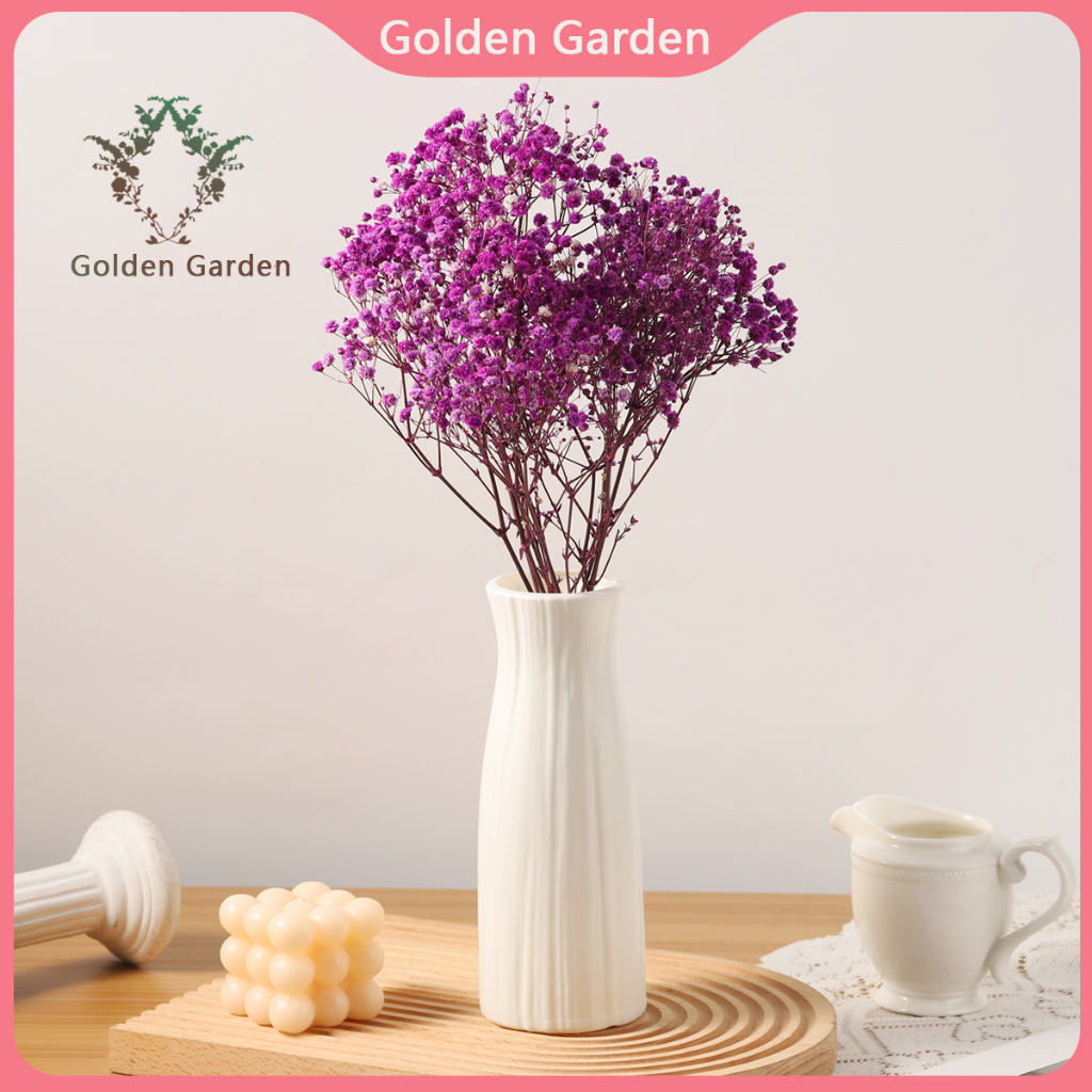 Gypsophila paniculata Dried Gypsophila Eternal FlowerDecorationshooting scene For Wedding