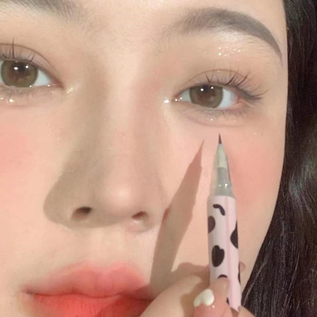 Liquid Eyeliner Pen Waterproof, Silkworm Pencil Eyeliner, onglasting