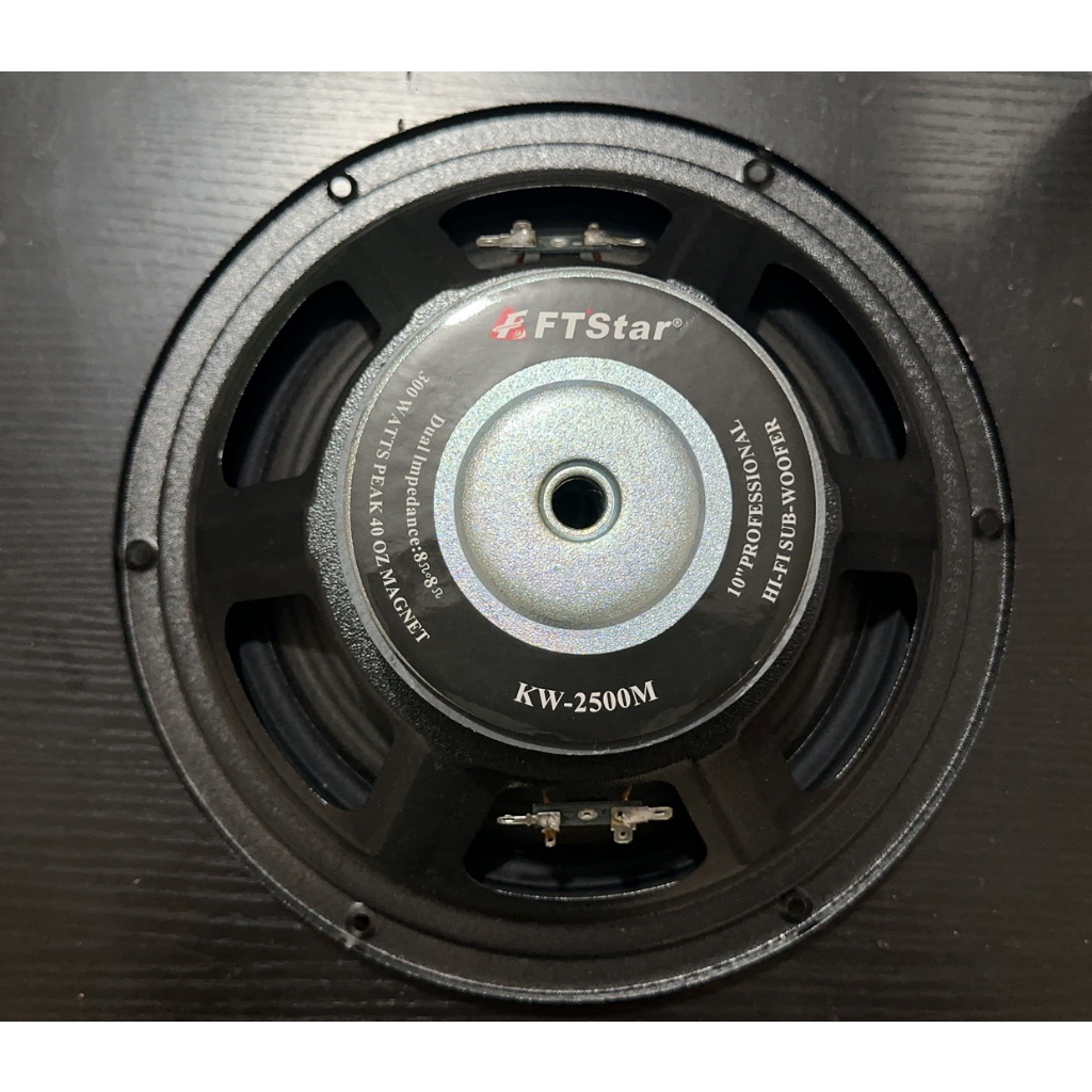 FT STAR Videoke Speaker 10 inch HiFi SubWoofer Speaker 300 Watts (KW