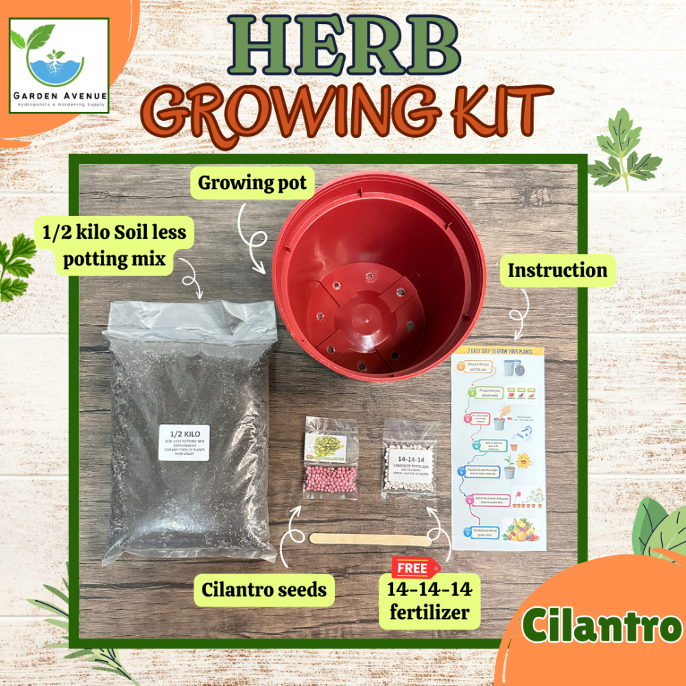 CILANTRO GROWING KIT - READY TO USE/COMPLETE PACKAGE/POT/SOIL/SEEDS ...