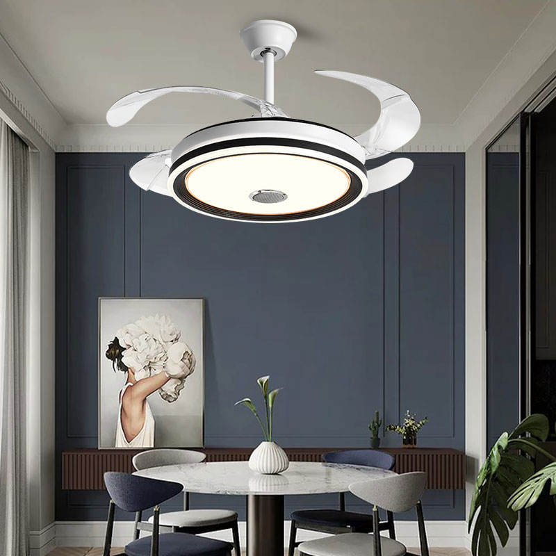 JMC COMPASS Super Affordable Fan Frequency Conversion Speaker