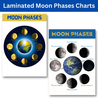 Laminated Phases of the Moon Charts, Moon Phases, Educational Chart for ...