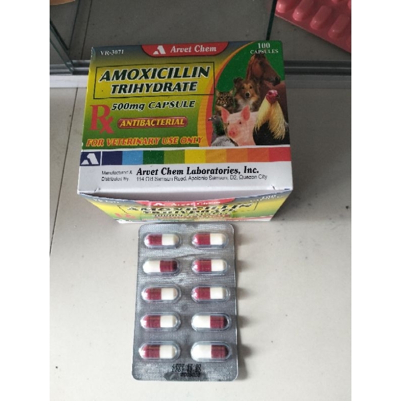 Amoxicillin Trihydrate For Animal Use 500gm 10Capsule | Shopee Philippines