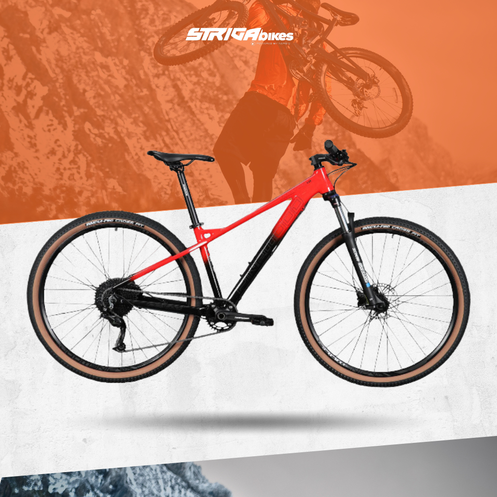 Pinewood raptor clearance 29er