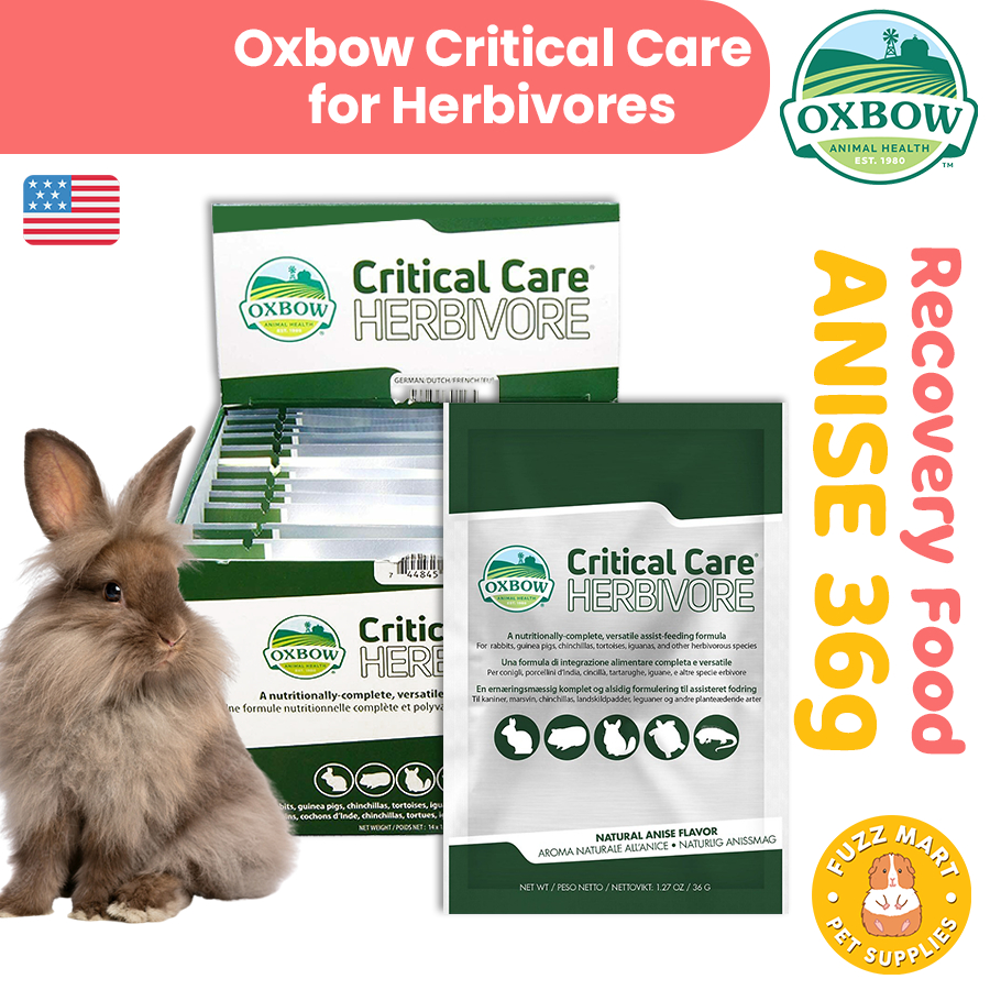Oxbow Critical Care Anise/Apple Banana RECOVERY FOOD (36g) Shopee Philippines