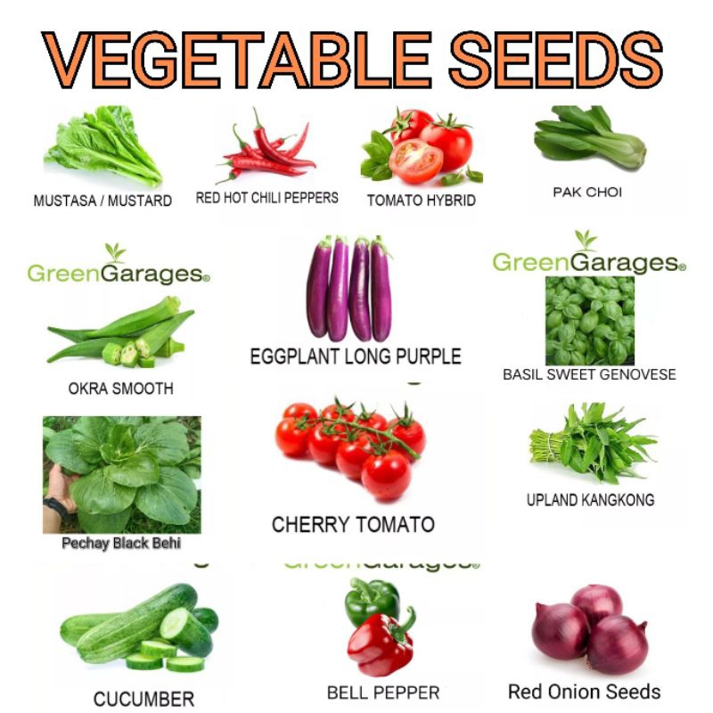 Vegetable Seeds High Quality | Shopee Philippines