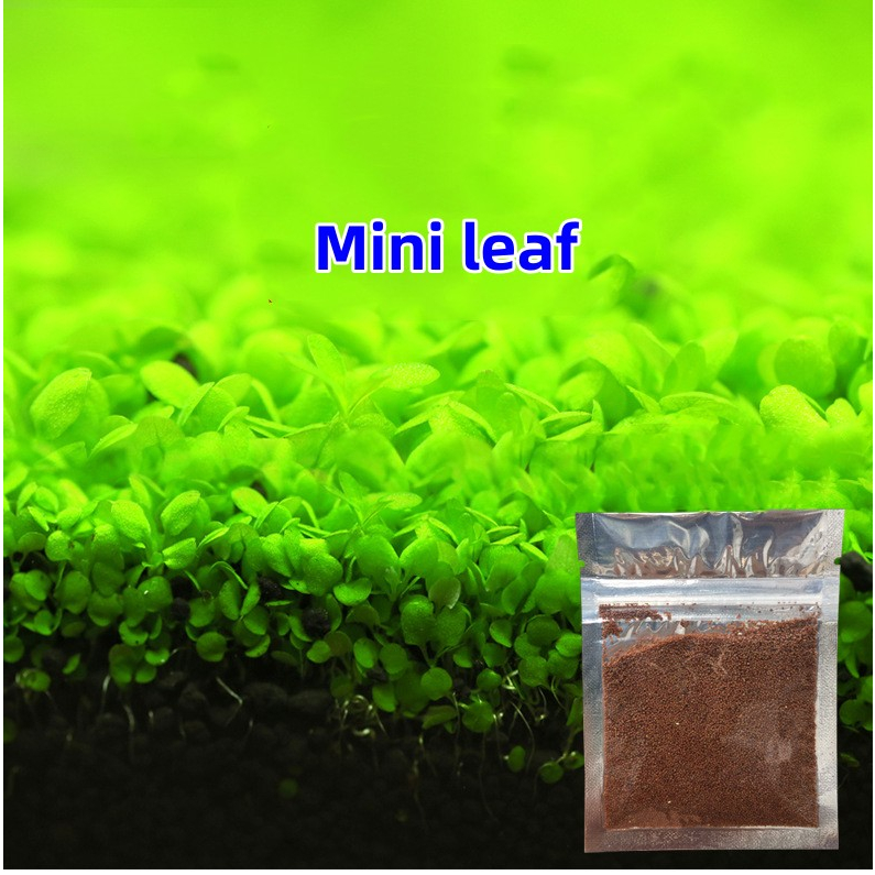10g Aquarium Plant Seed Aquarium Water Grass Carpet Plant Aquatic