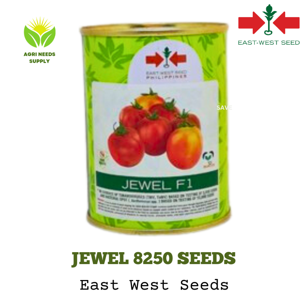 Tomato Jewel F1 East West Seeds 25gms Shopee Philippines