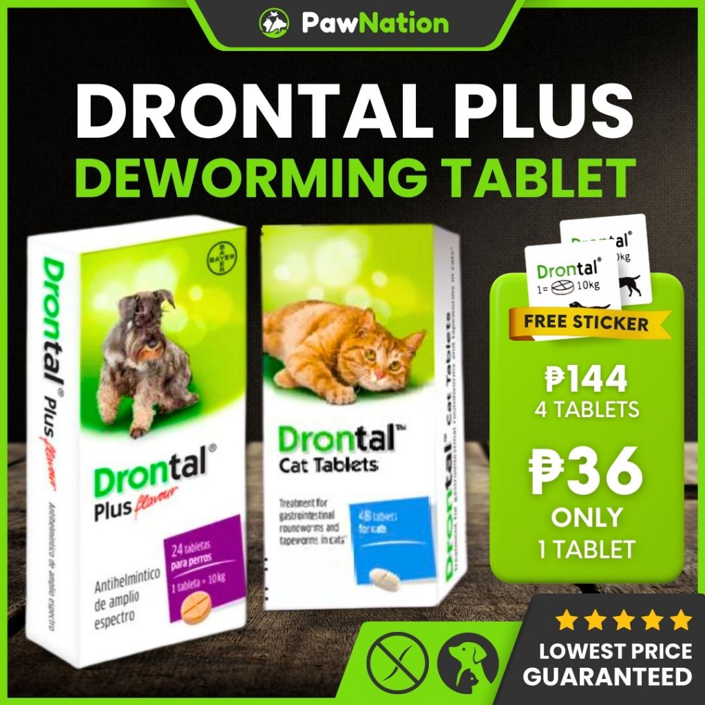 Drontal Plus 1pc Dog Deworming Tablet for Dog and Cats Tapeworms