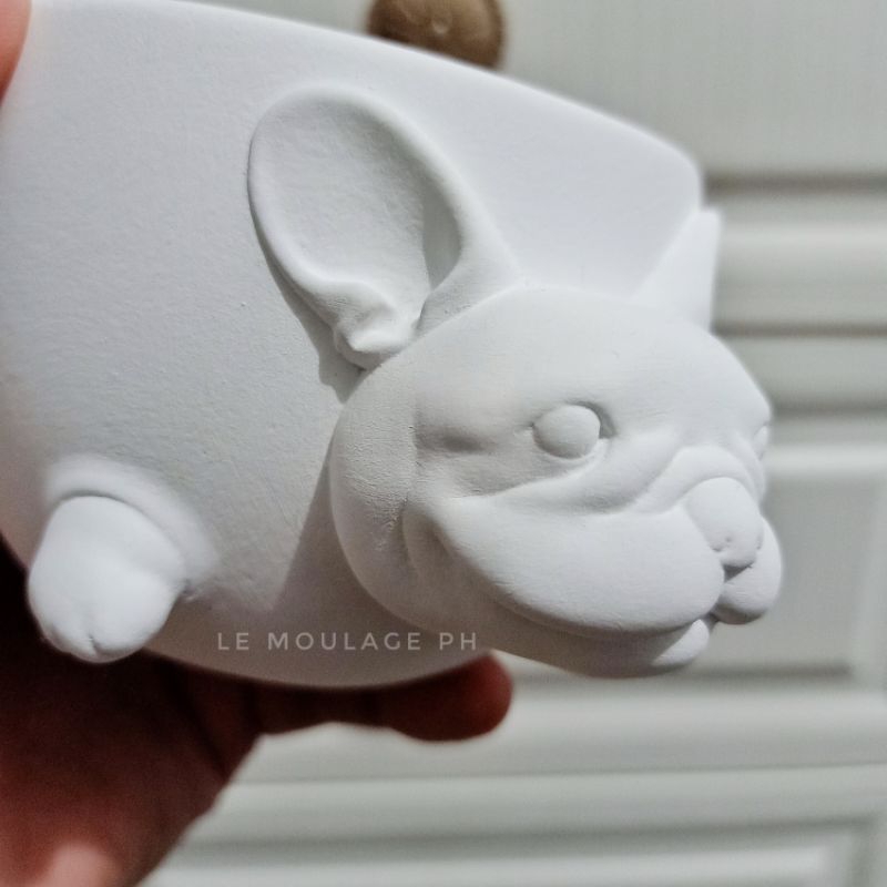 Frenchie pot (Ideal for small sized Cactus/Succulent) | Shopee Philippines