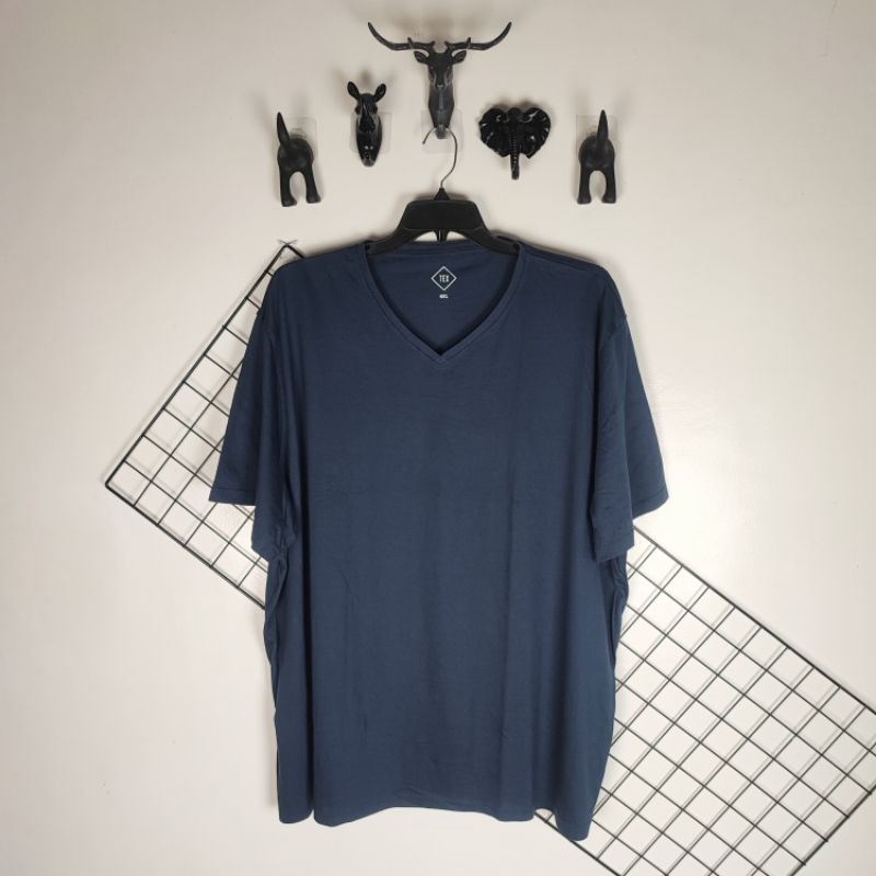 Oversized Cotton Tshirts (all 31