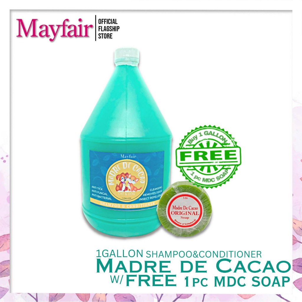 Madre de cacao shampoo for humans best sale