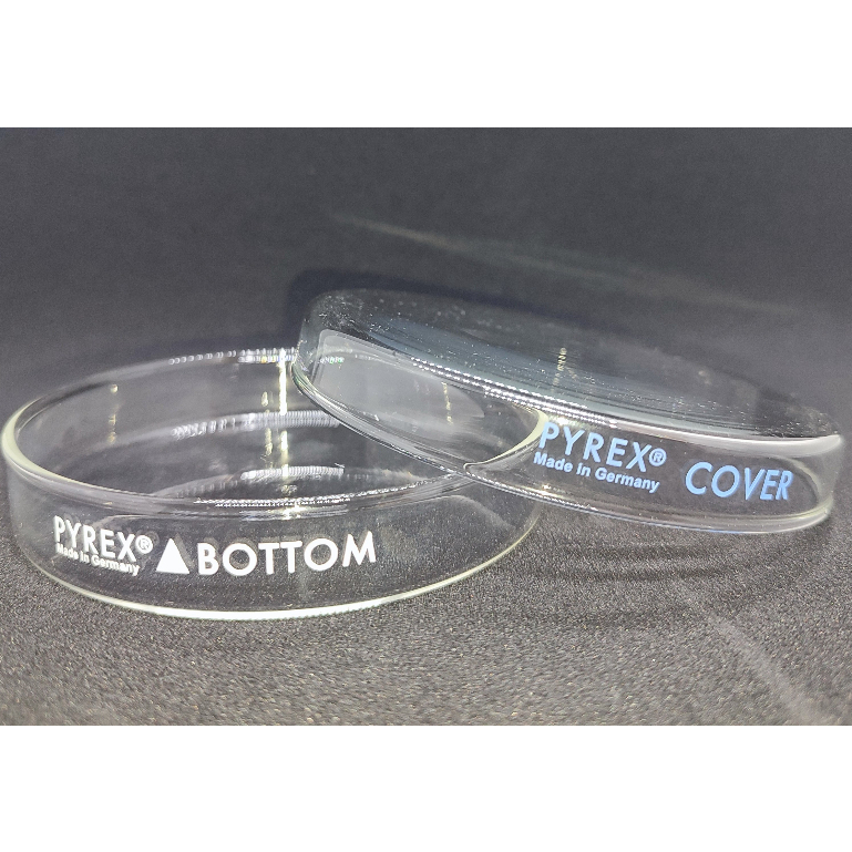 Original PYREX Petri Dish, Glass, Available in Different Sizes Shopee Philippines