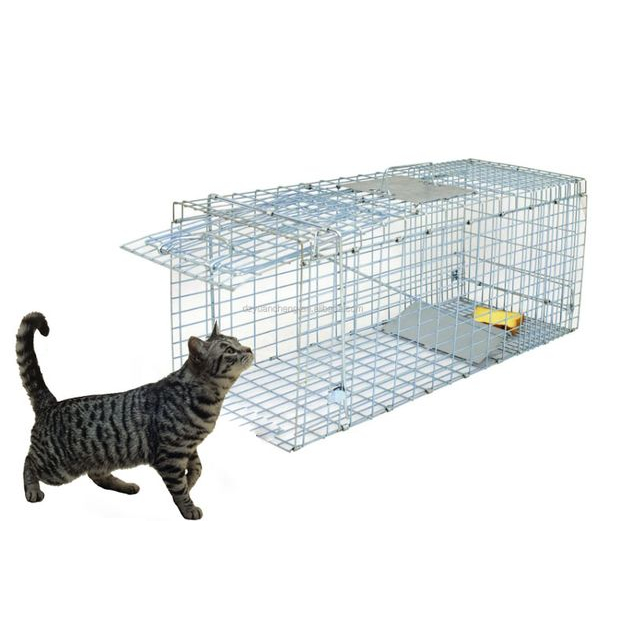 [DNC] Cat Trap Collapsible Live Animal Cage Trap for Rats, Cats ...