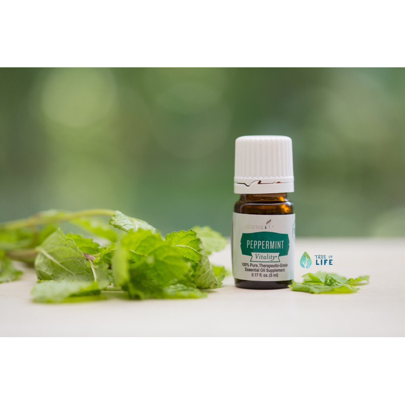 Peppermint + Young Living Essential Oil 5ml Expiration March 2024 Shopee Philippines
