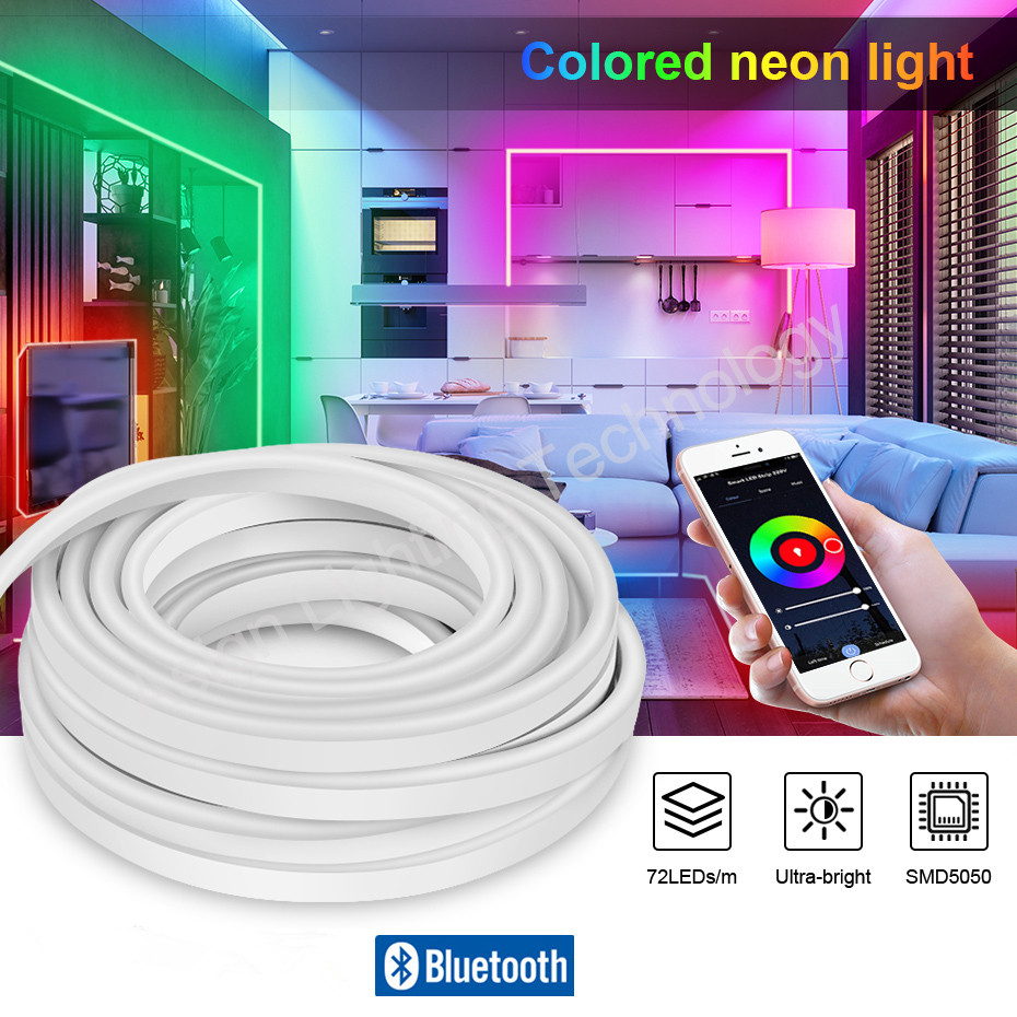 RGB LED Neon Strip Light 220V Bluetooth Smart Control IP67 Waterproof ...