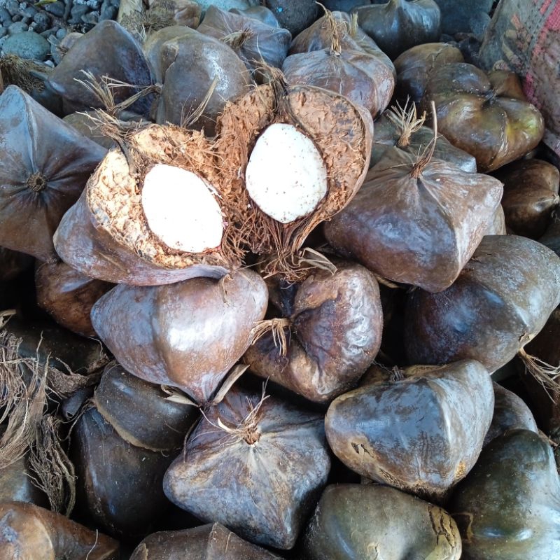 Bitoon old fruit 1 kilogram Shopee Philippines