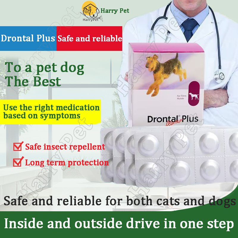 Drontal Plus 1 Tablet Tasty Dewormer Tablets Drontal Dewormer for Dogs