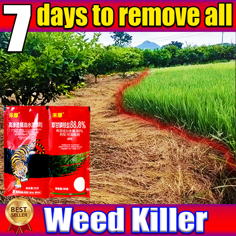 Herbicide for grass and weeds Weed and grass killer Grass killer