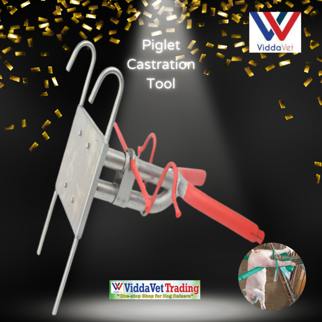Viddavet Hang Type Castration Tool for piglets Castration tool kit