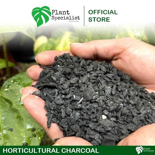 Horticultural Charcoal for Plants | Shopee Philippines