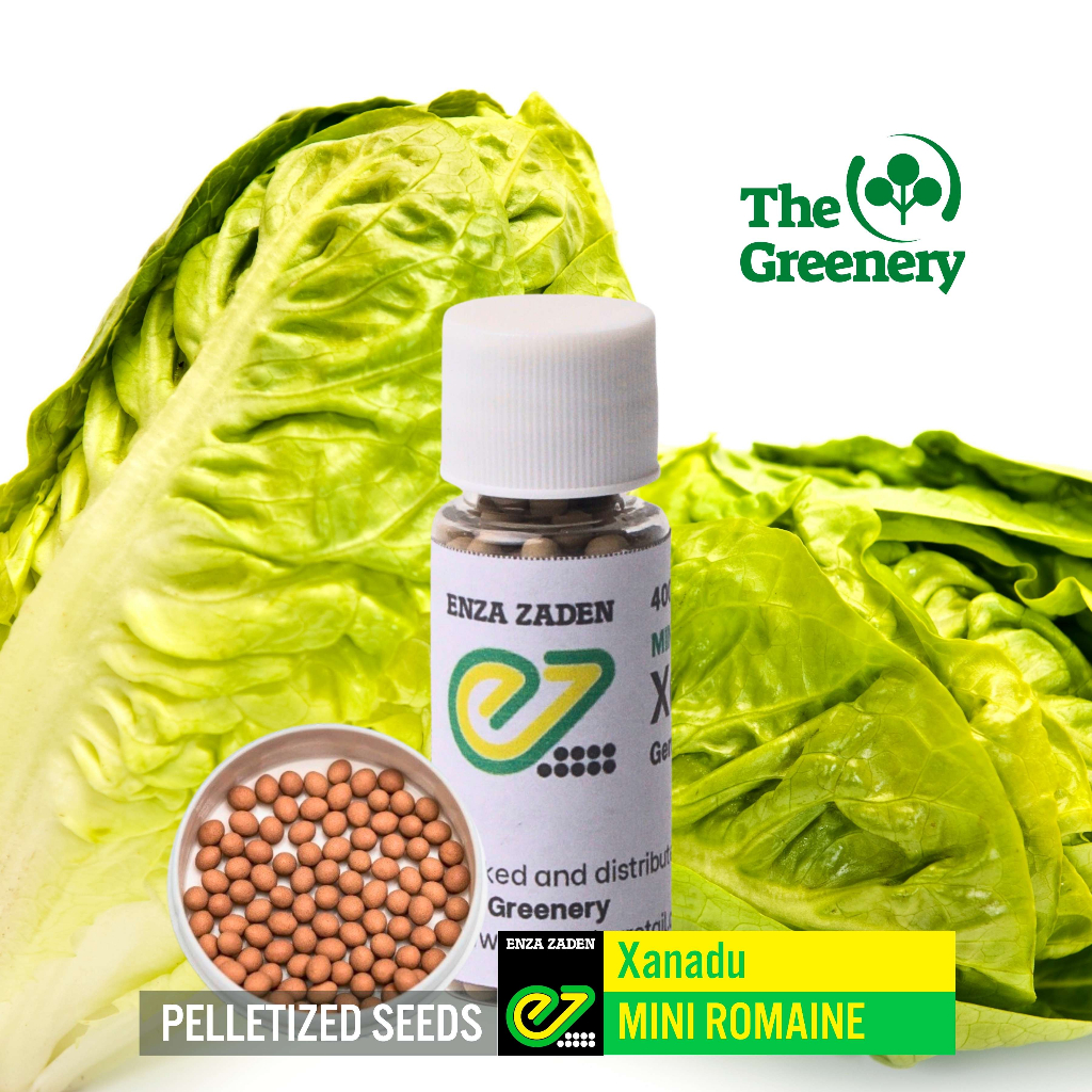Xanadu Mini Romaine Lettuce Seeds Pelletized 50200 Pills Shopee