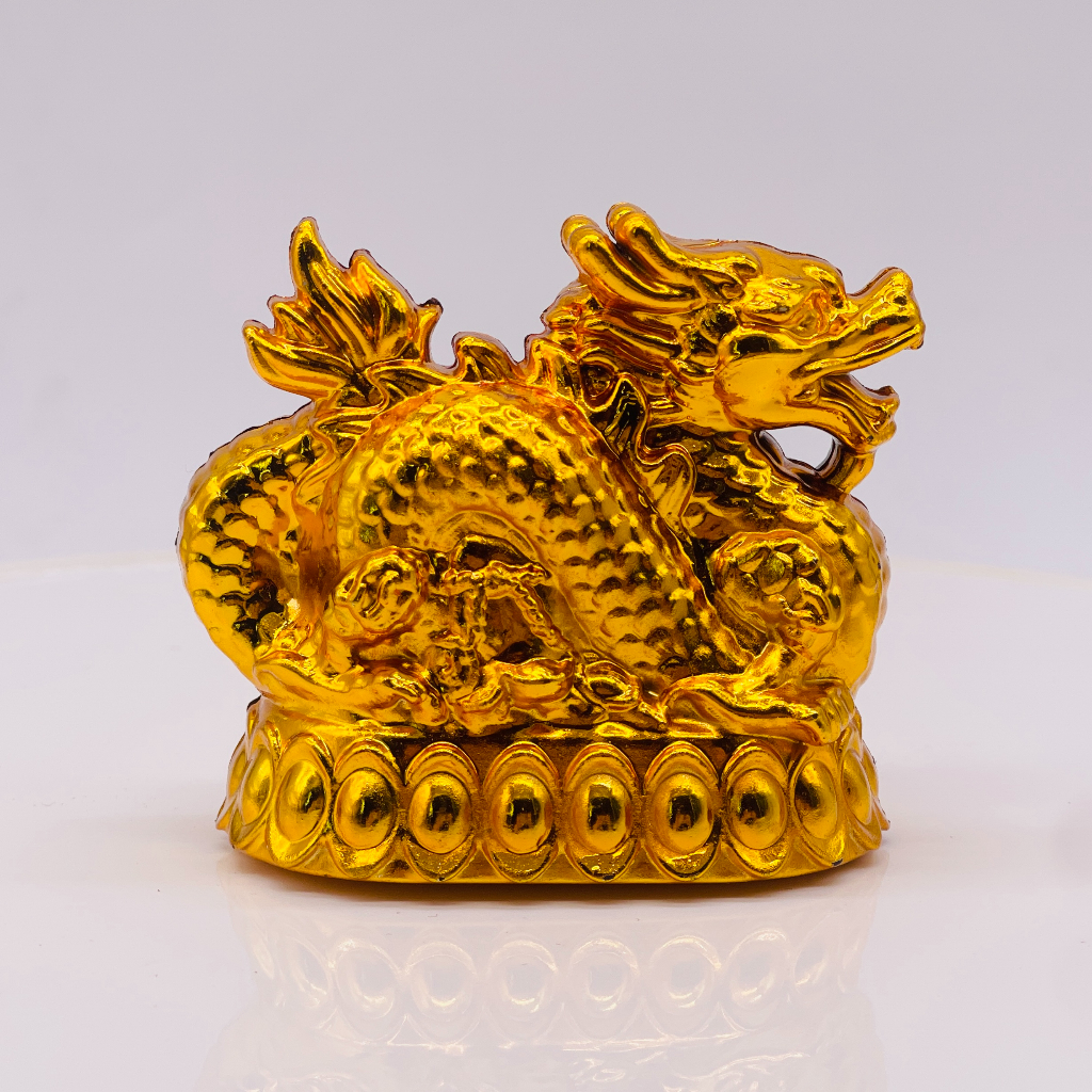 Feng Shui Lucky Charm Wealth Dragon Year 2024 Water Rabbit Perfect for