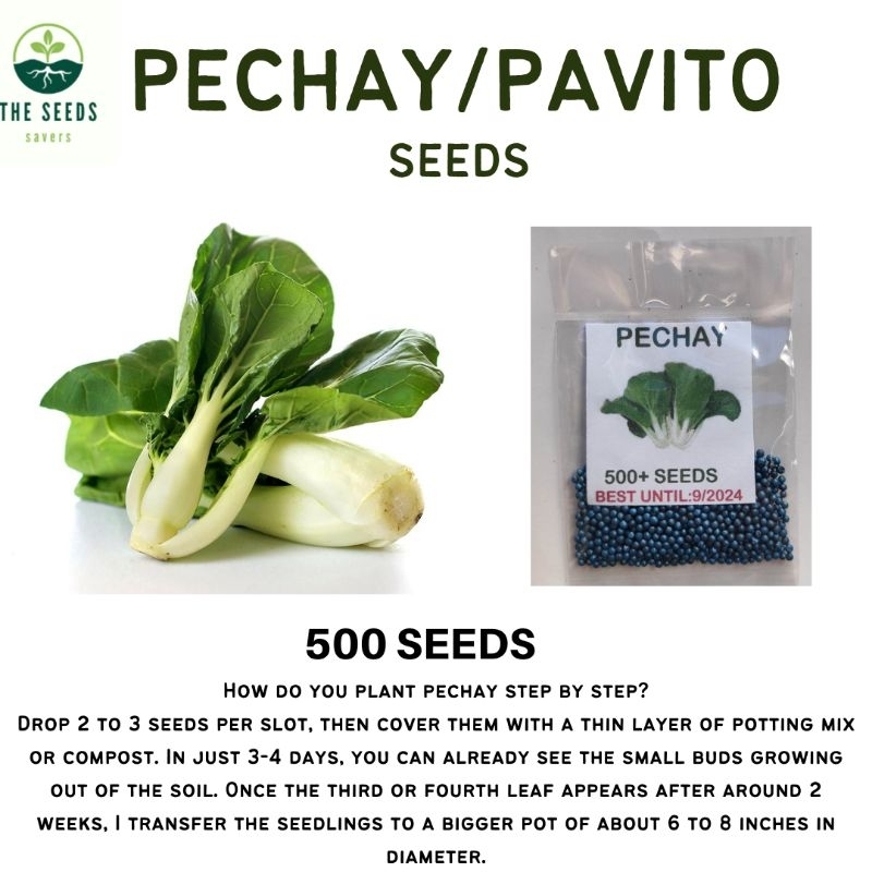 PECHAY SEEDS - 500pcs | Shopee Philippines