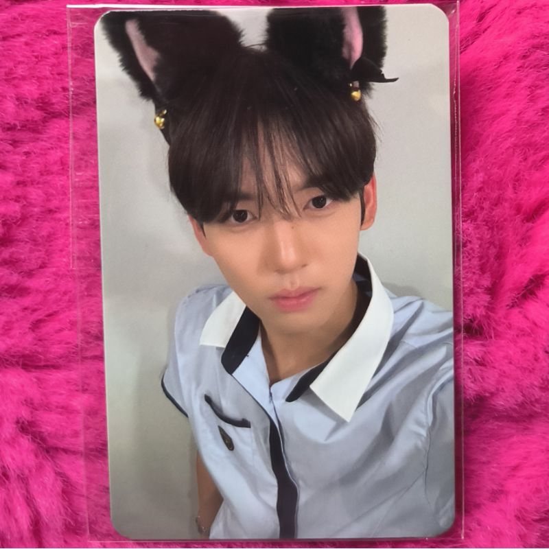 ONHAND ZEROBASEONE YOUTH IN THE SHADE MAKESTAR OFFICIAL POB PHOTOCARDS ...