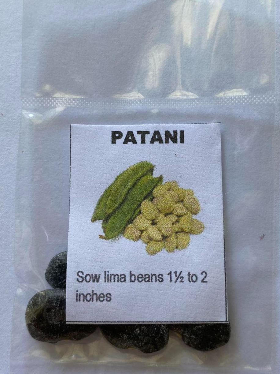 Patanilima Beans 4pcs Seeds Shopee Philippines