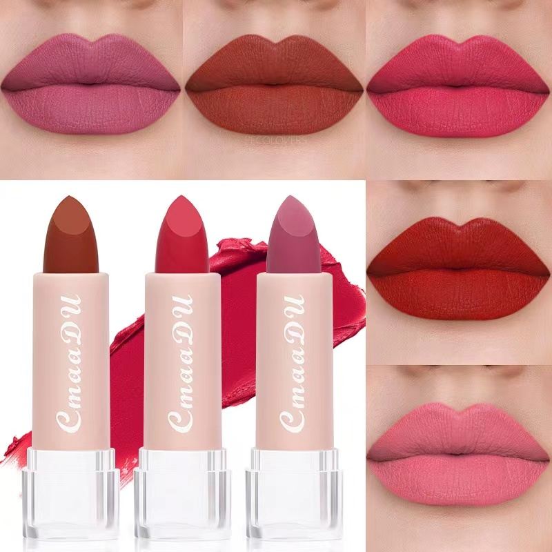 Waterproof Lipstick Beauty Makeup Long Lasting Matte Velvet Water ...