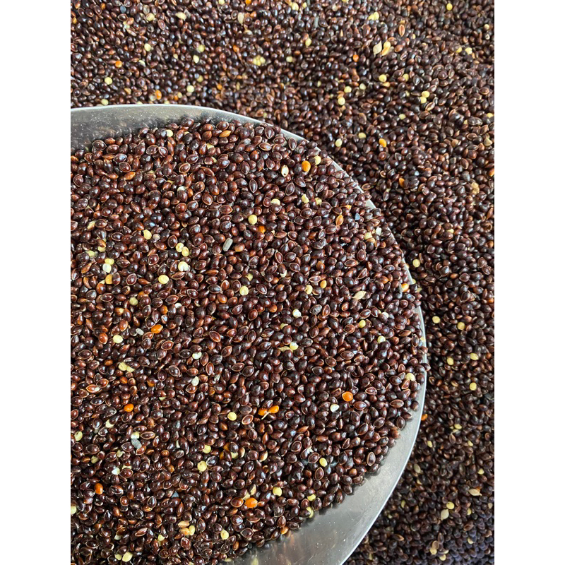 Black Millet - Bird Seeds (1 Kilo) | Shopee Philippines